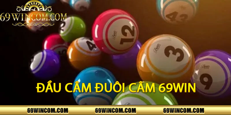 Đầu câm đuôi câm 69WIN